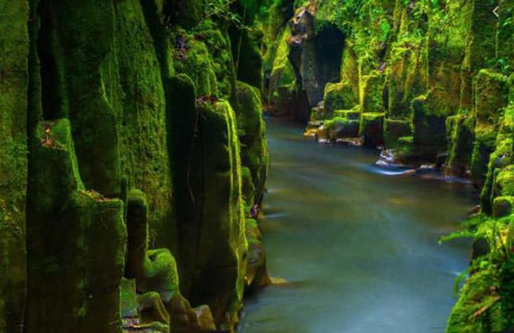 Te Urewera National Park