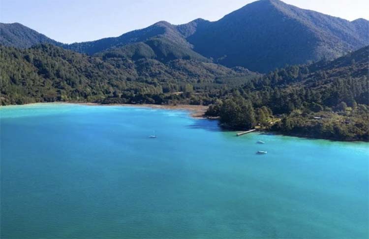 nydia bay