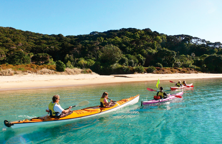 Kayaking in the Bay of Islands