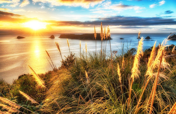 Hahei Beach on the Coromandel