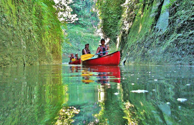 Whanganui Canoe trip