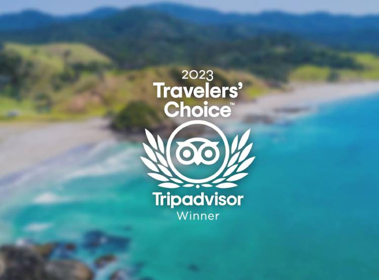 Every year, we award travelers’ favorite destinations, hotels, restaurants, and things to do around the world, based on reviews and ratings collected over the past 12 months. So our Travelers’ Choice winners are decided by you: real travelers from all over, sharing real opinions and stories.