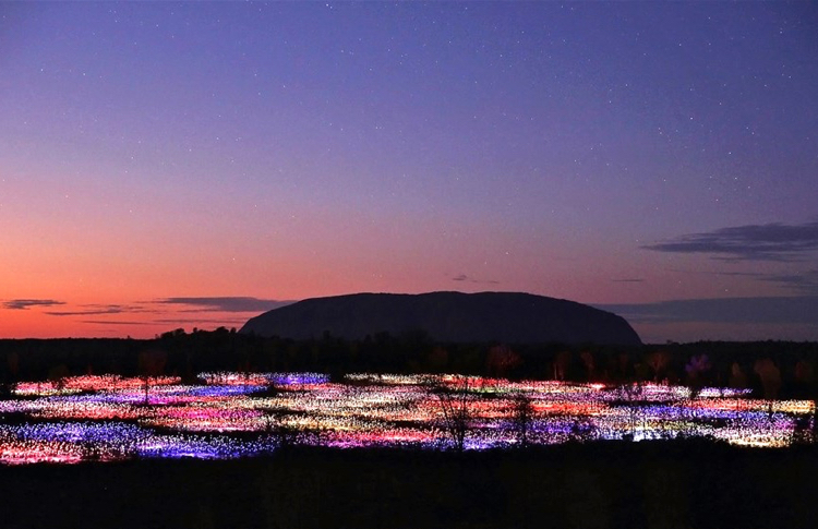 Field of Light