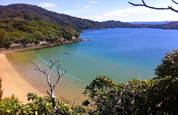 Stewart Island New Zealand