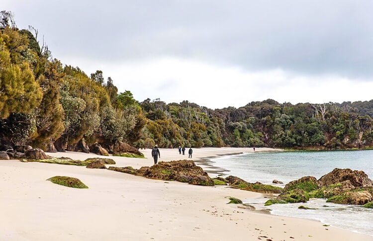 Stewart Island Beach
