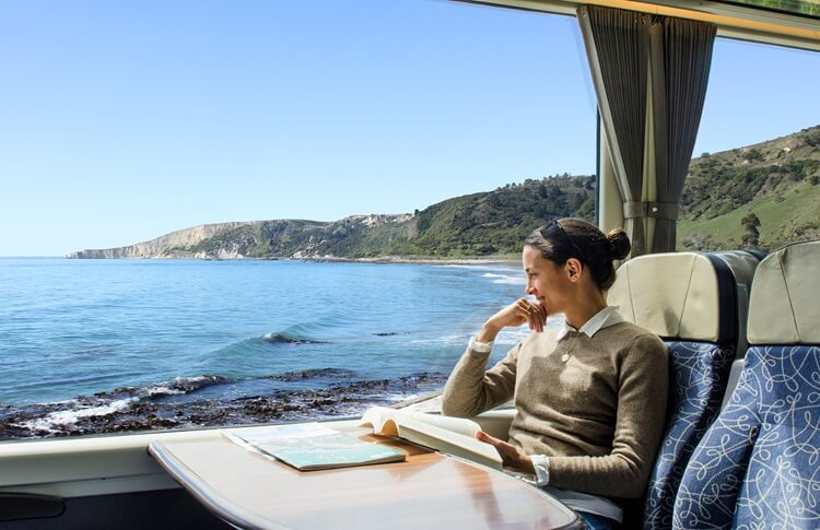 Passenger on Coastal Pacific Train