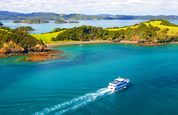 Cruise the Bay of Islands