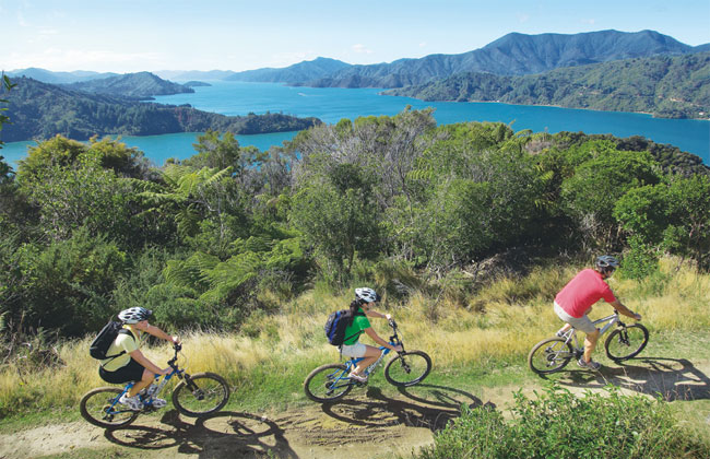 Three people mountain biking in the Central Otago area. 
