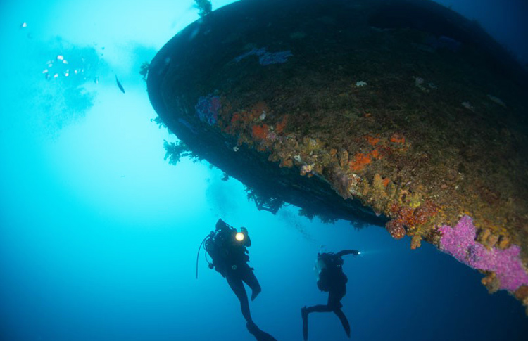 Diving the wreck of the Canterbury.