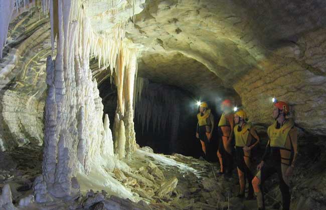 West Coast Glowworm Caves