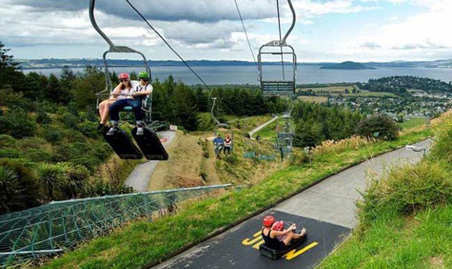 Luge Rotorua