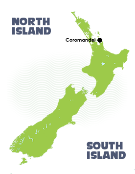 Coromandel Map