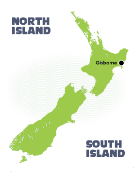 Gisborne