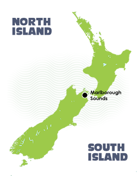 Marlborough Sounds