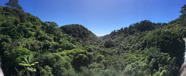Zealandia Sanctuary