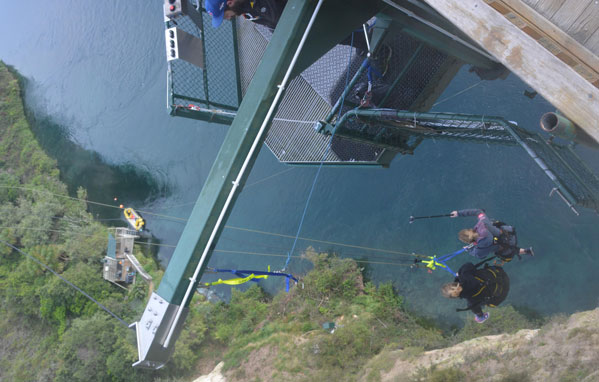 Interns bungee in Taupo