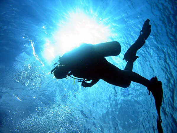 No Bubbles in the Bath ... Diving Australias Great Barrier Reef - The Alternatives