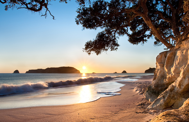 New Zealands Best Beaches: Coromandel