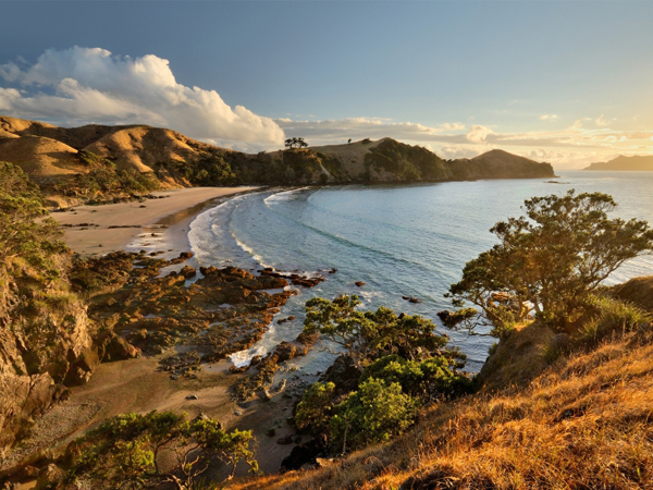 A World of its Own - Great Barrier Island