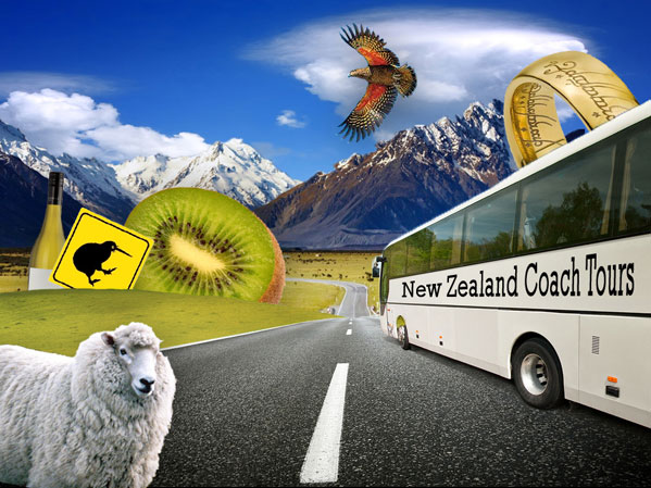 coach tours of new zealand