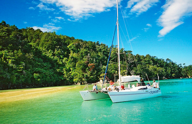 nz sailing trips