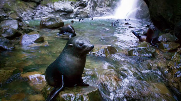 Best Day Hikes in the South Island