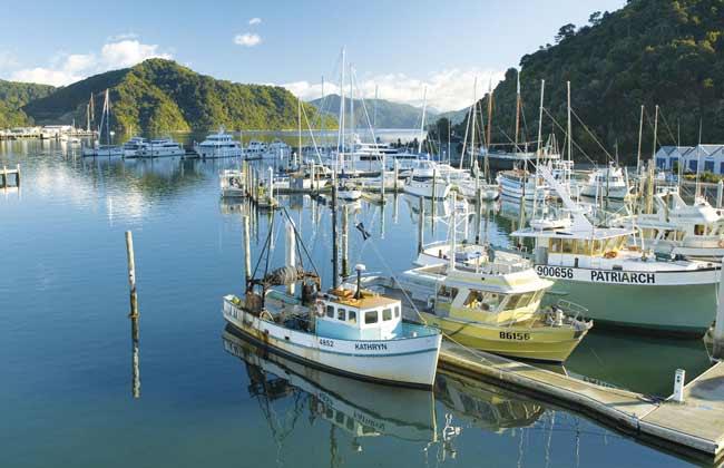 A couple of boats in Picton Harbour.