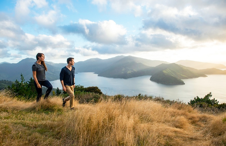 On top of the Marlborough Sounds