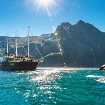 Fiordland Nature Cruise