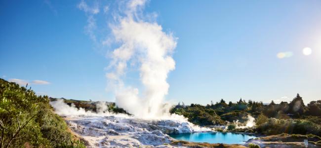Pohutu Geyser Rotorua