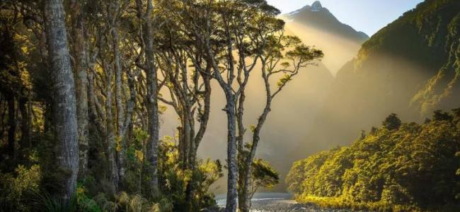 Fiordland