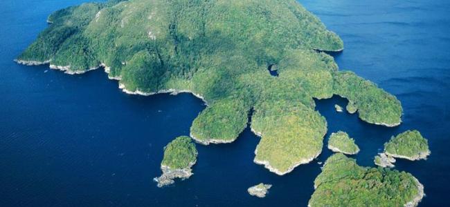 Island of Dusty