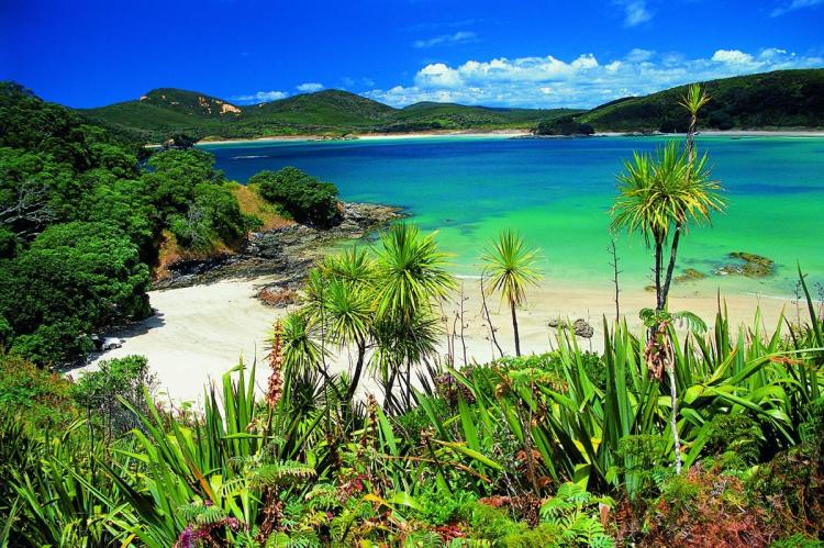 great pacific tours new zealand