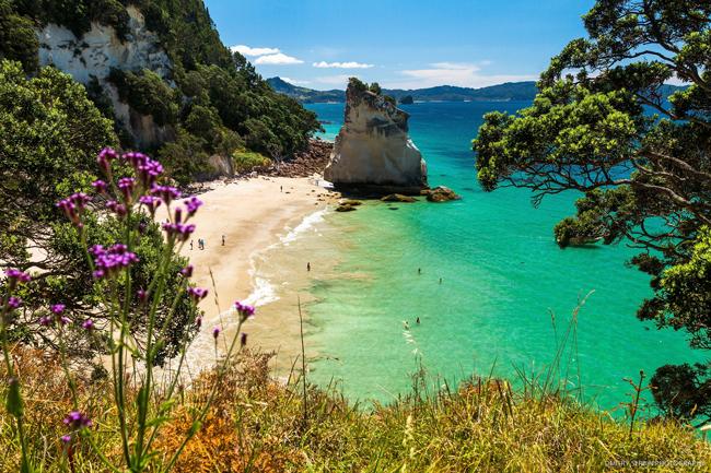 Cathedral Cove Coromandel Peninsula New Zealand High-Res Stock Photo -  Getty Images
