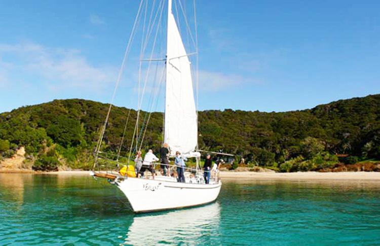 bareboat catamaran charter new zealand