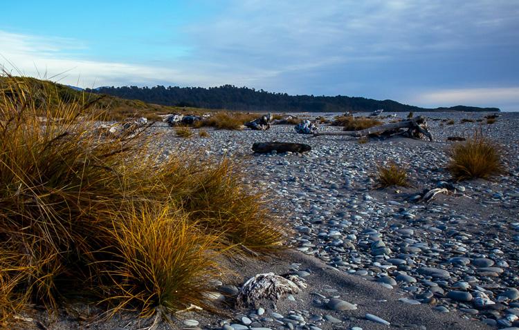 Stoney beach, NZ's West Coast