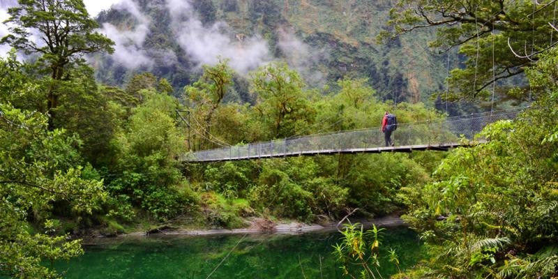 Milford Track