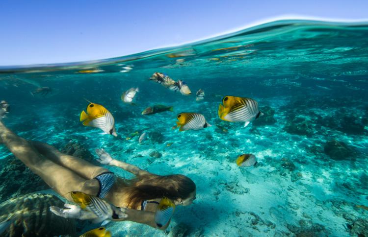 Snorkelling Raro