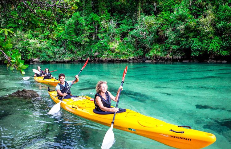 Kayaking adventure abel tasman