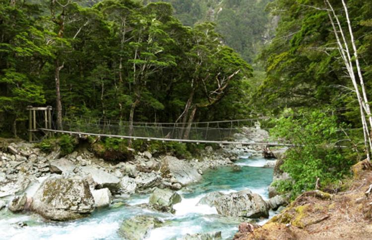 Routeburn Track Day Walk Bridge