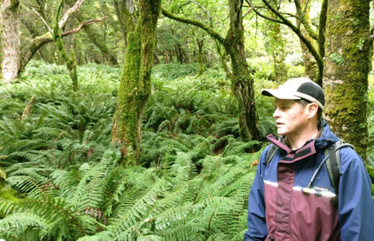 Andrew Wells Hiking Routeburn