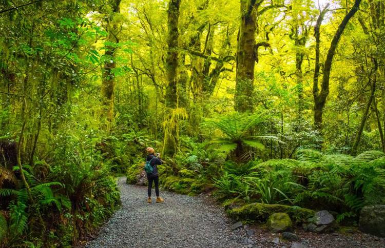 fiordland