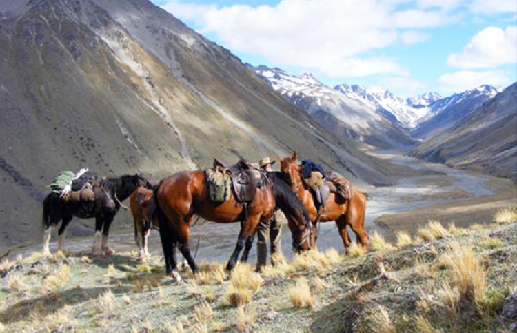 Lake Tekapo Cowboy Country