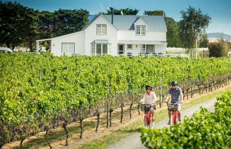 Martinborough Food Tours