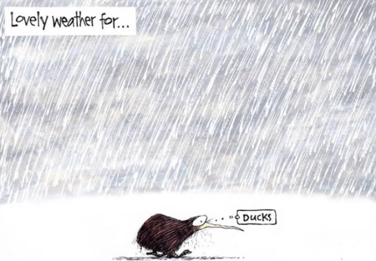 NZ Weather