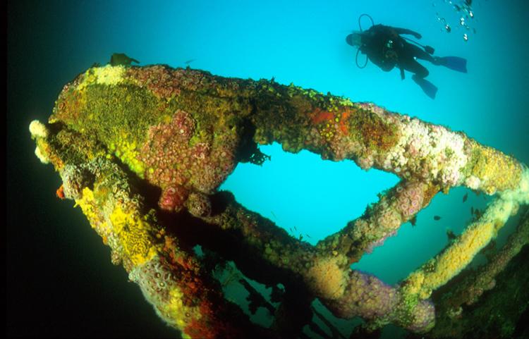 Diving the Rainbow Warrior 