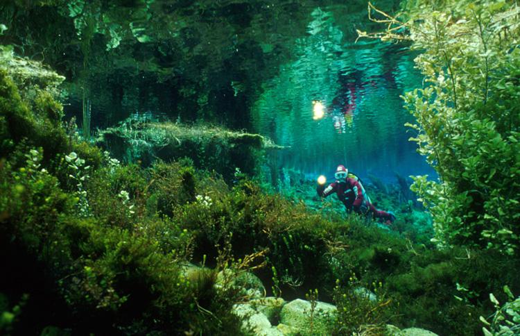 Diving Te Waikoropupu Springs