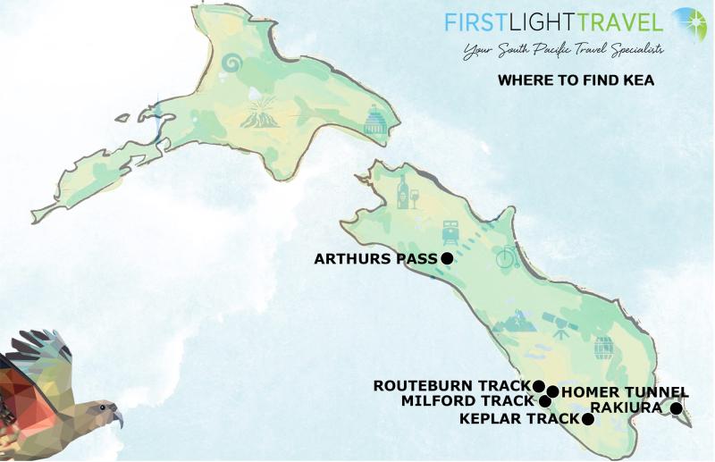 Map showing where Kea are found