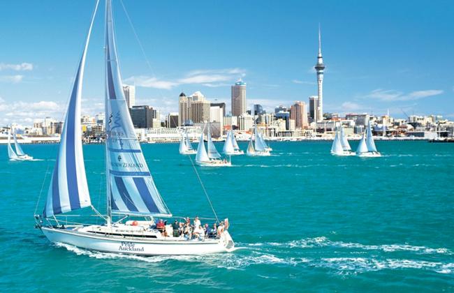 Sailing in Auckland