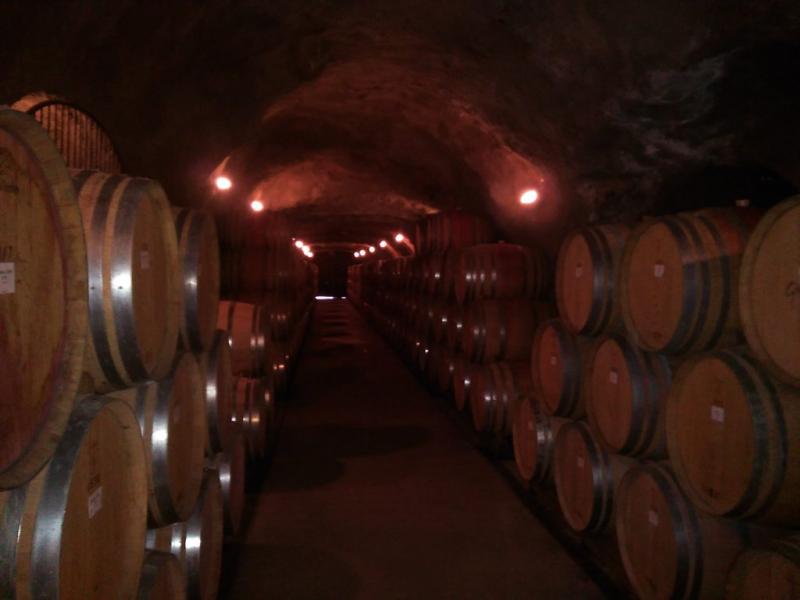 Gibbston Valley Wine Cave